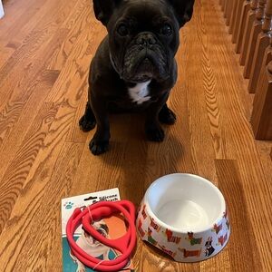 NWT. HOLIDAY DOG DISH AND SILICONE LEASH